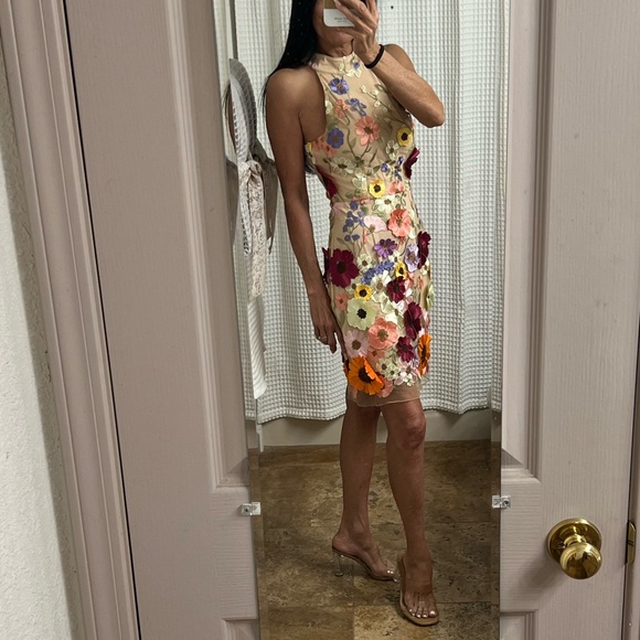 NWT 3-Dimensional Embroidered Floral Sheer Halter Mini Dress Sz: XS - Picture 3 of 16